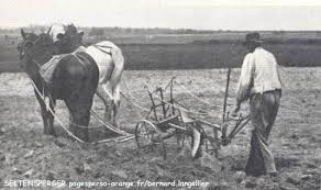 L’agriculture